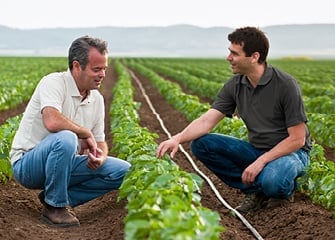 Rivulis的微灌溉解决方案可帮助农民节约用水和提高农作物产量。(照片：Rivulis；拍摄于冠病疫情之前)